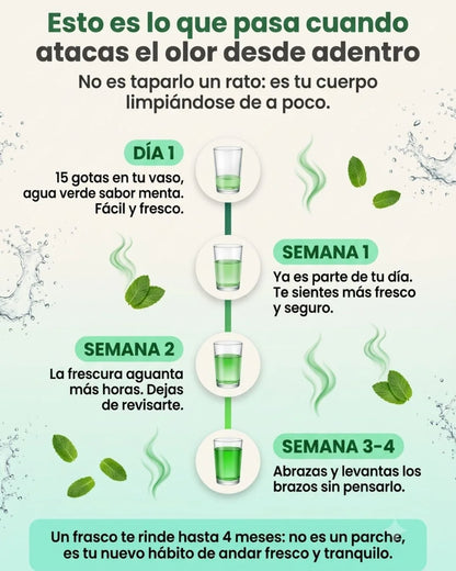 CLOROFILA🍃