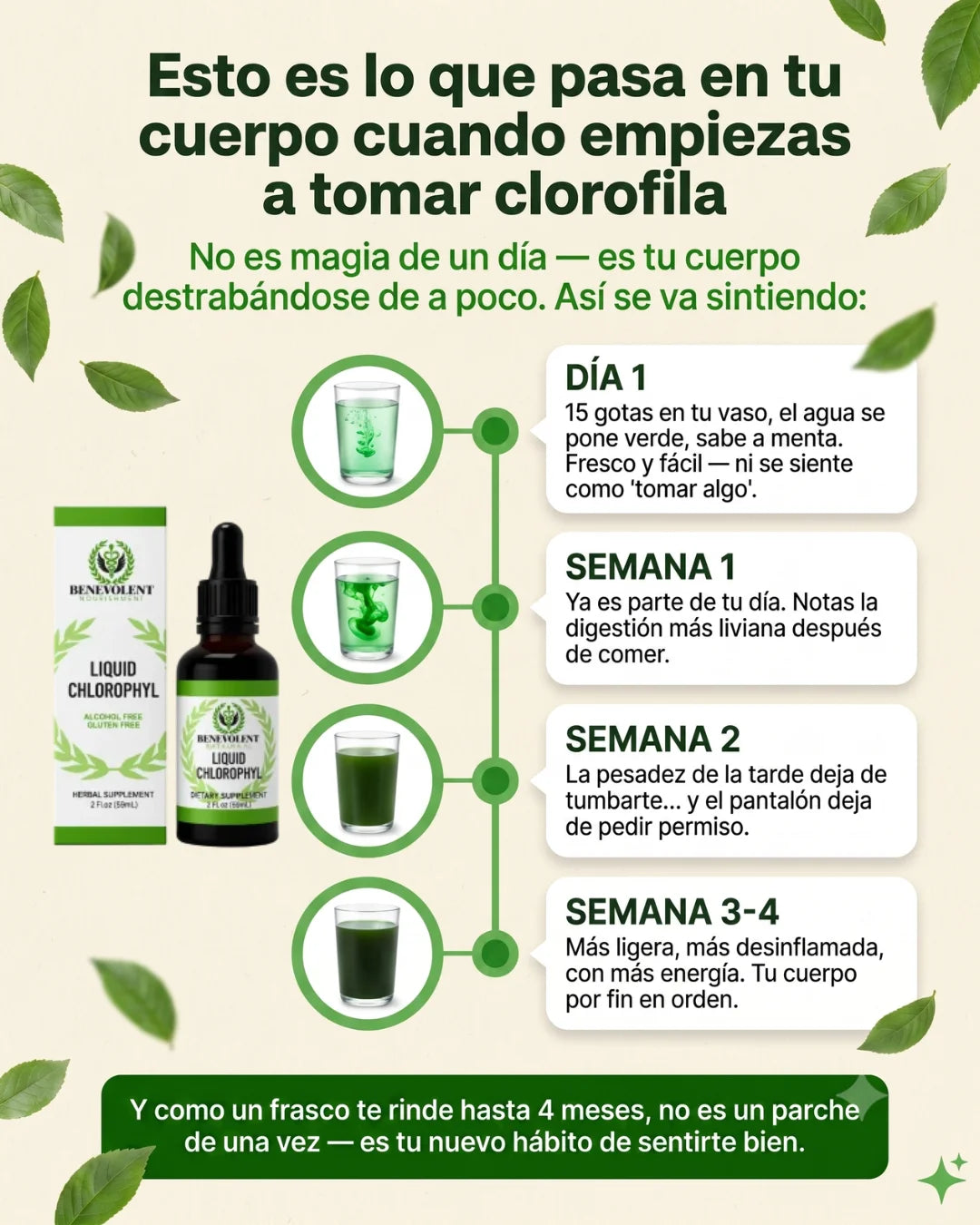 Clorofila Liquida - Benevolent™