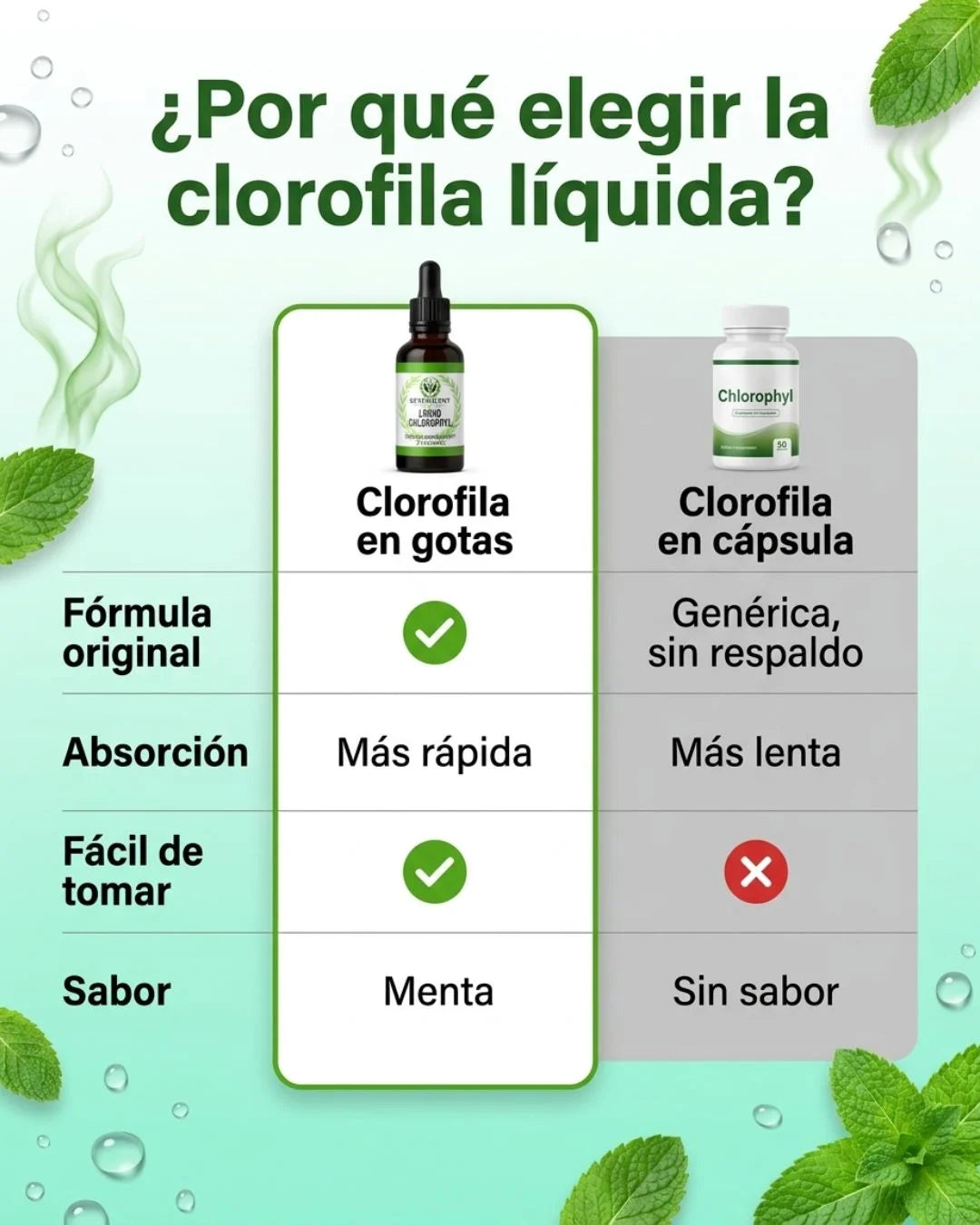 CLOROFILA🍃