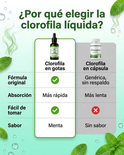 CLOROFILA🍃
