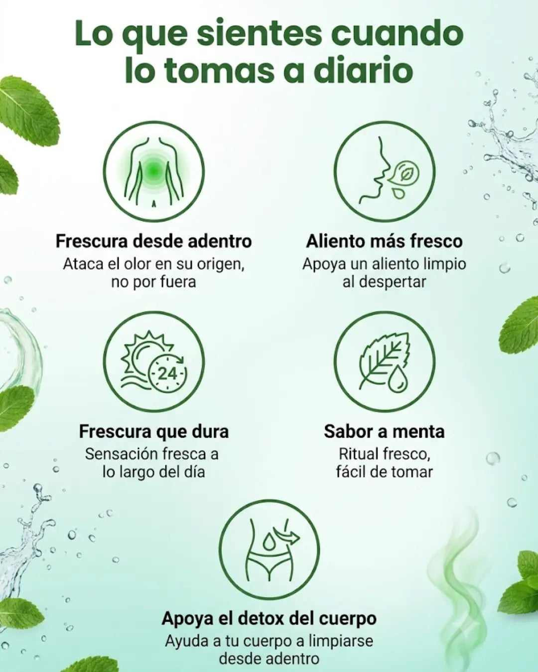 CLOROFILA🍃