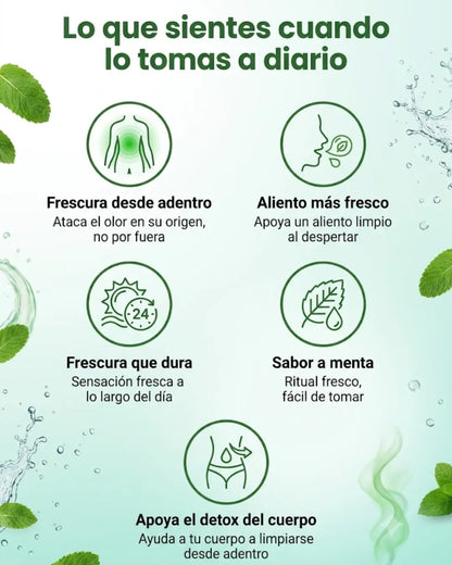 CLOROFILA🍃